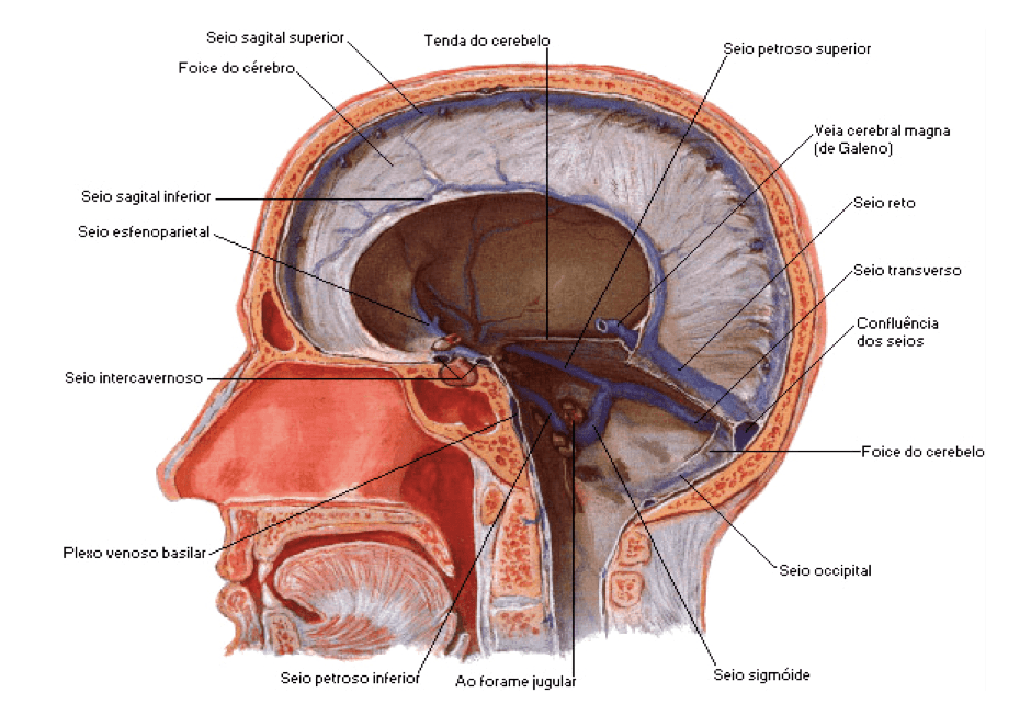 Captura de Tela 2014-05-31 às 14.18.32