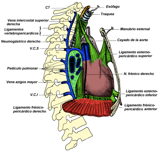 Captura de Tela 2014-05-31 às 14.19.38.png