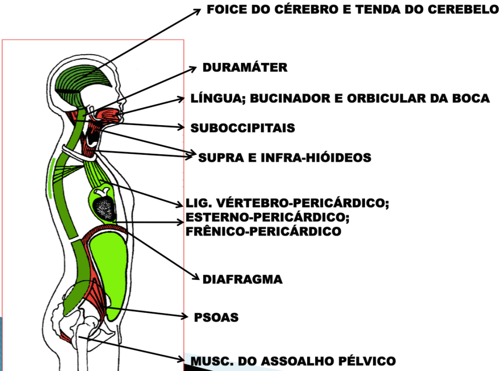 Captura de Tela 2014-05-31 às 14.33.29